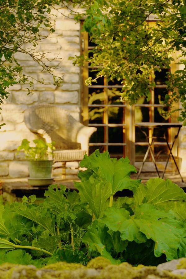 Metsara B & B Tornimae Extérieur photo